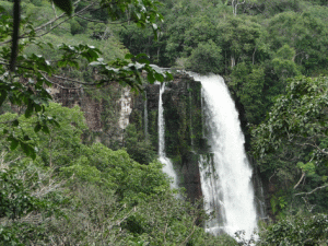 manaus-amazonas-amazonia-Parque-Estadual-Sucunduri-Amazonas-recursos-compensacao-ambiental-meio_ambiente